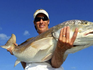 red drum