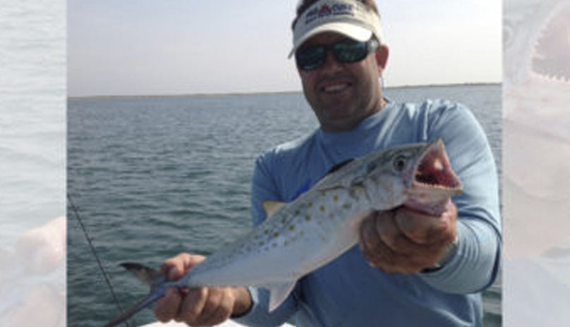 Spanish mackerel