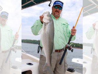 Hartwell stripers