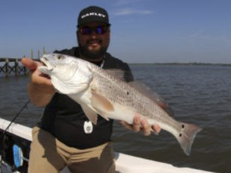 redfish
