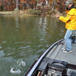Start about midway back in creeks and work to the backs to find bass; Tillery’s developed shorelines will provide plenty of casting targets.