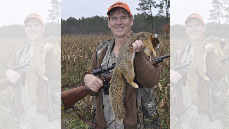 squirrel