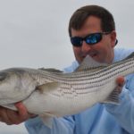 Striped bass are aggressive fish that are a blast to battle on light tackle.