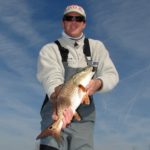 Redfish will feed around spoil islands in the Cape Fear River because constant current will position baitfish in those areas.