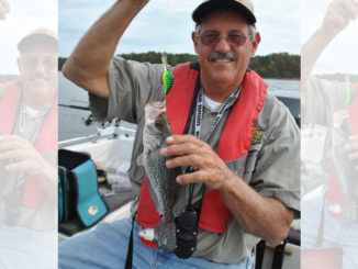 crankbaits for crappie