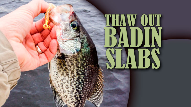 To say that a January morning is brisk can be an understatement, but with any luck,  the frost will give way to sunshine and biting fish. At Badin Lake on the Yadkin River chain, hungry and healthy crappie will most likely be holding tight to baitfish schools, hovering over deep-water creeks and coves, where long-line trolling a dragnet of jigs is the most efficient way to fill your 20-fish limit.