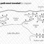 During January, work deeper ditches, runs and creeks that lead from Lake Moultrie to shallow water. They may lead to ponds, openings or just course through shallow flats. Work cover adjacent to these “paths”.