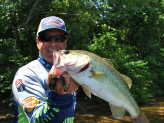 bass