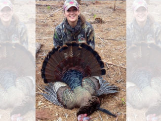 open-field gobblers