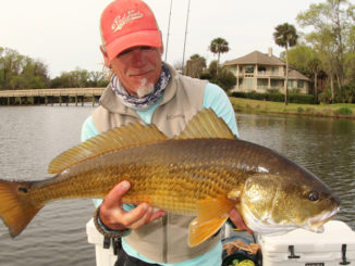 redfish