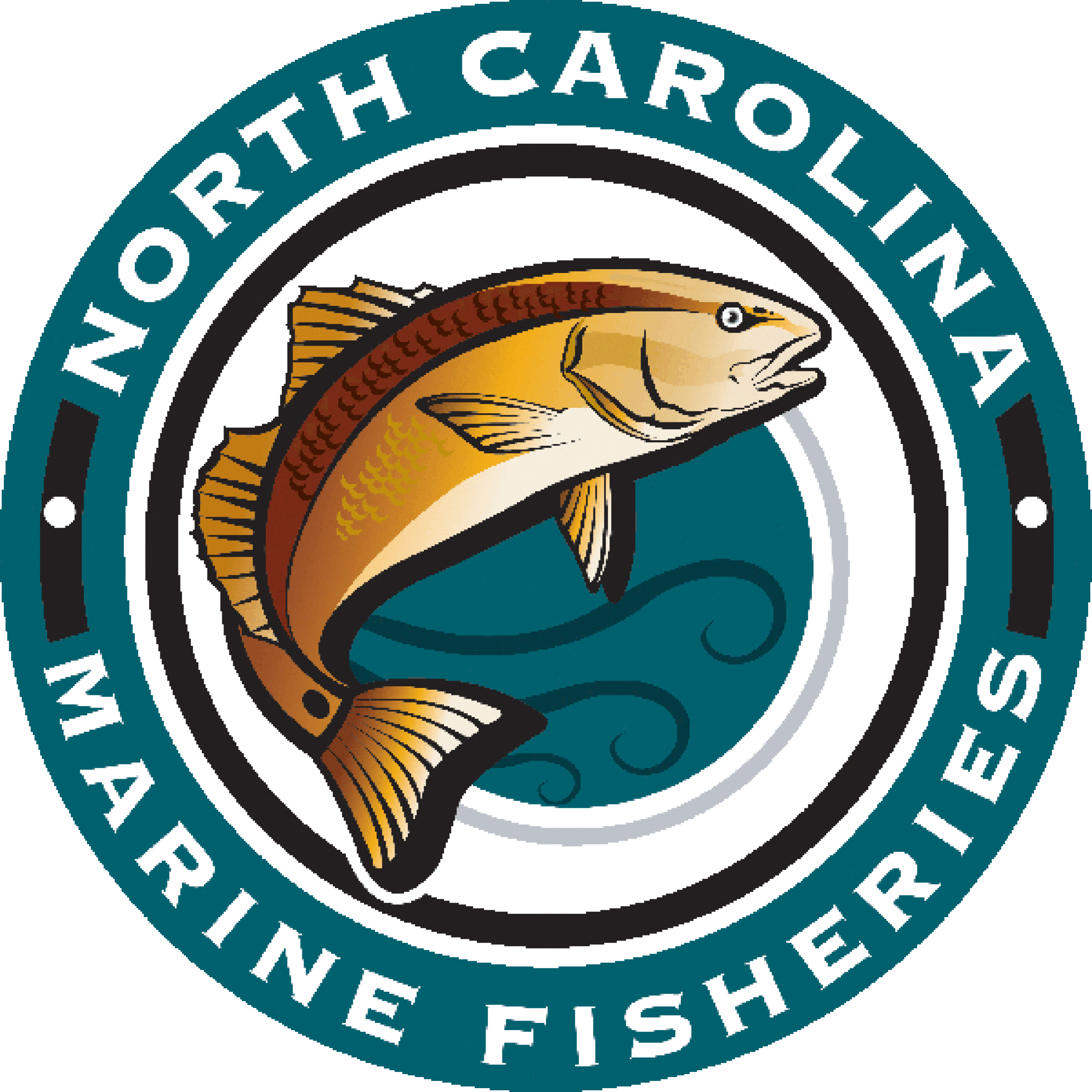 NC Marine Fisheries