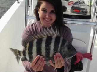 sheepshead