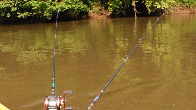 Ultra Boat Seat Umbrella or Fishing Rod Holder river catfish freshwater fish