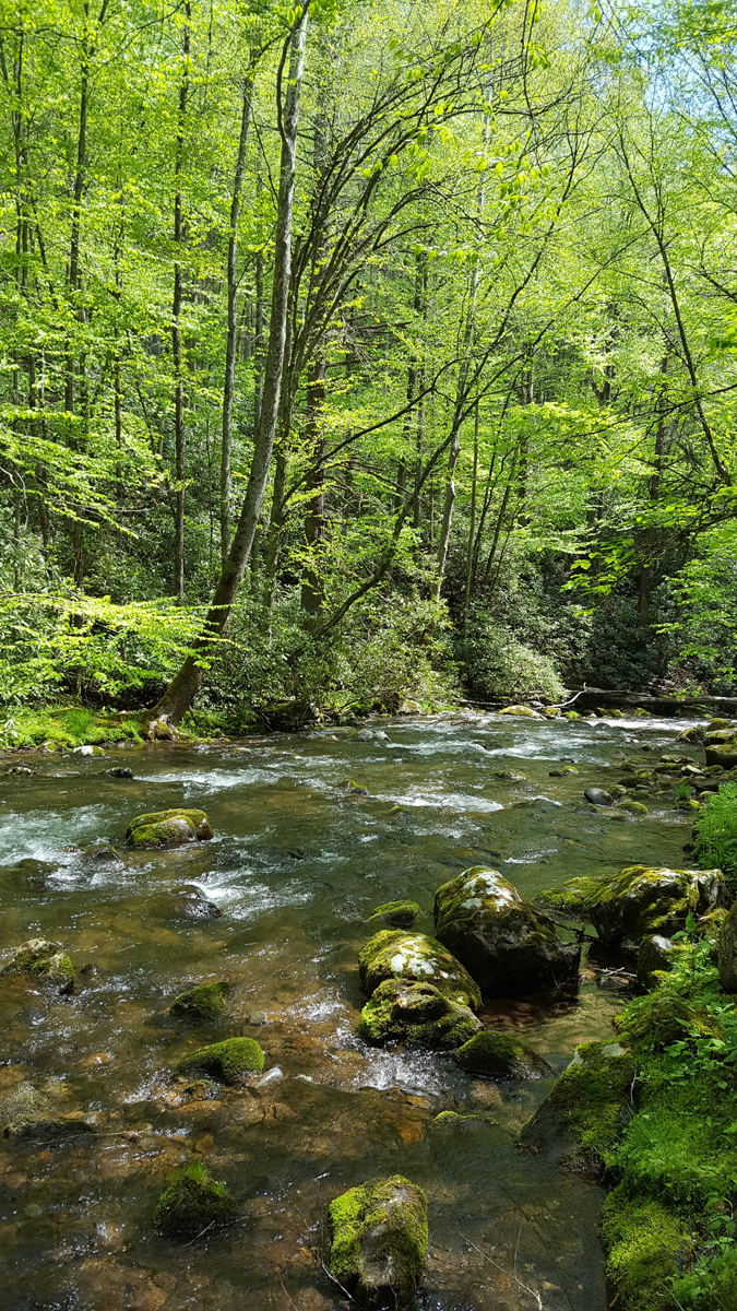 From Stem To Stern Three Days Three Distinct Oconaluftee Fisheries