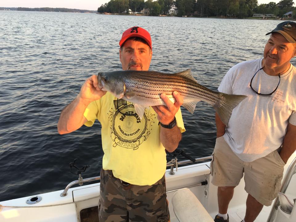 n3w ugly stik light striper rod for live bait 2016 Casting - 7' Introducing the Ugly Stik Carbon series featuring 100% graphite for a lightweight rod Biggest striper caught on Lake