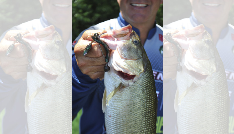 bass