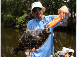 flounder