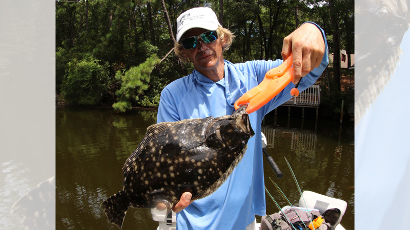 flounder