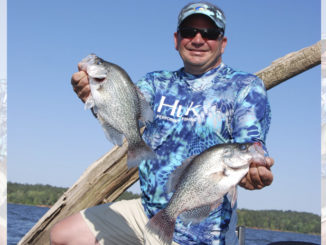 crappie