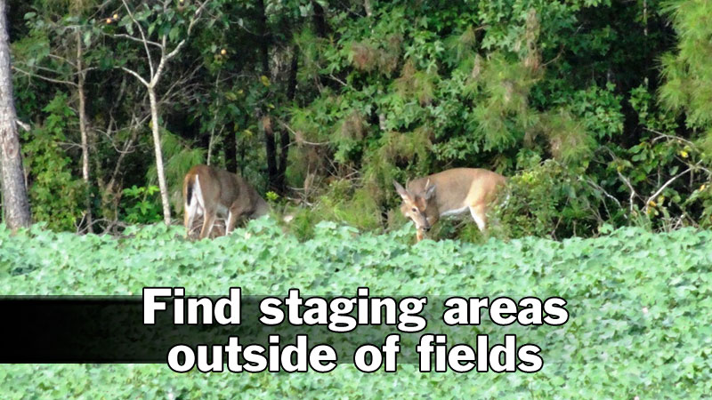 staging areas