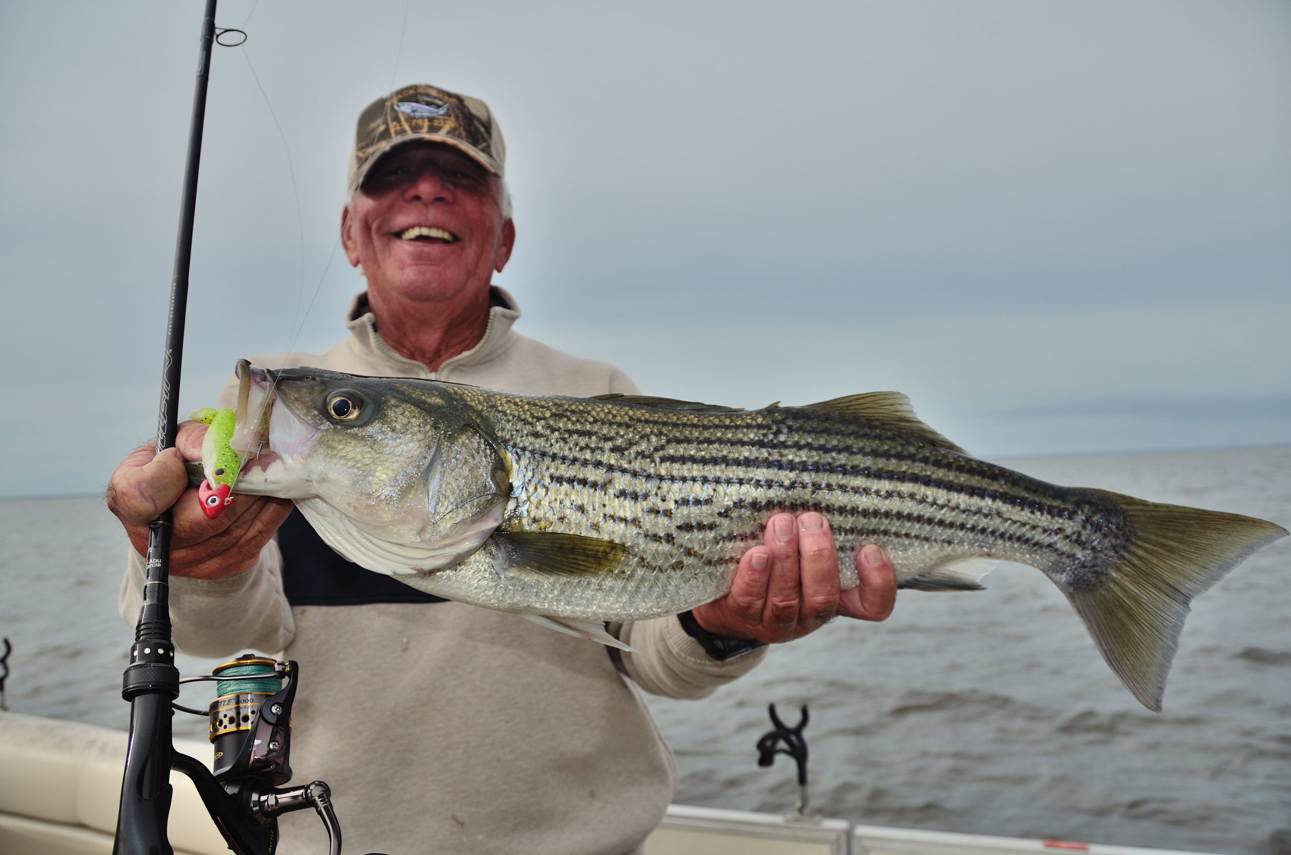 Fall striped bass fishing frenzy