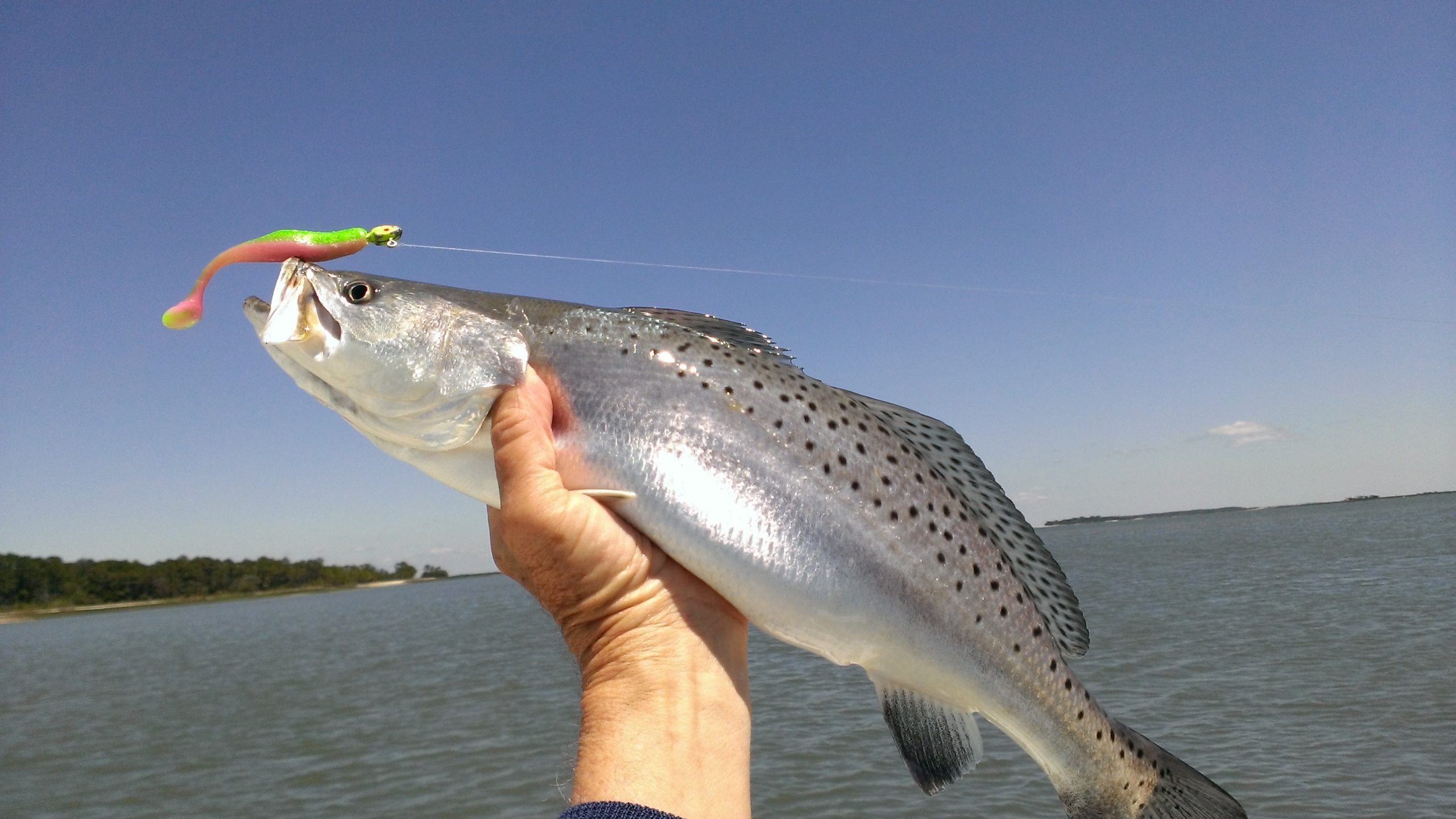 A jighead and chartreuse/pink soft-plastic trailer still gets the job done  on South Carolina speckled trout and redfish
