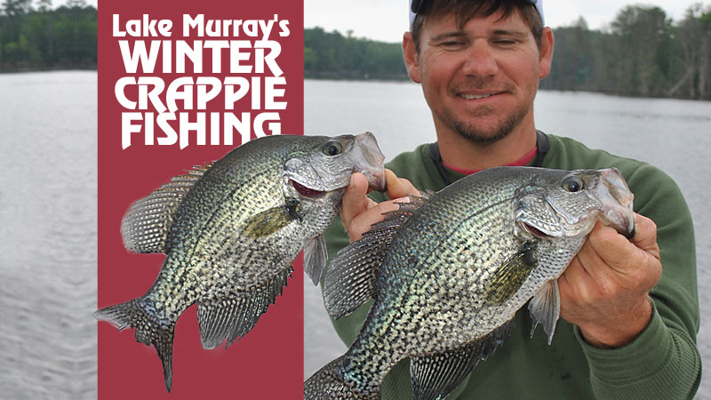 Don’t call it a comeback. Lake Murray’s crappie fishing is still going strong since the unusually mild winter has kept water temperatures higher than normal. The action is expected to get even better as spawning season nears.