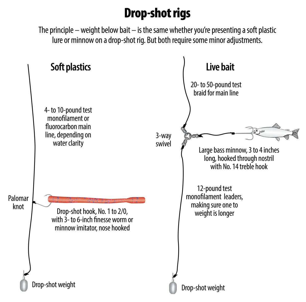 How to rig a drop-shot for soft plastics or live bait