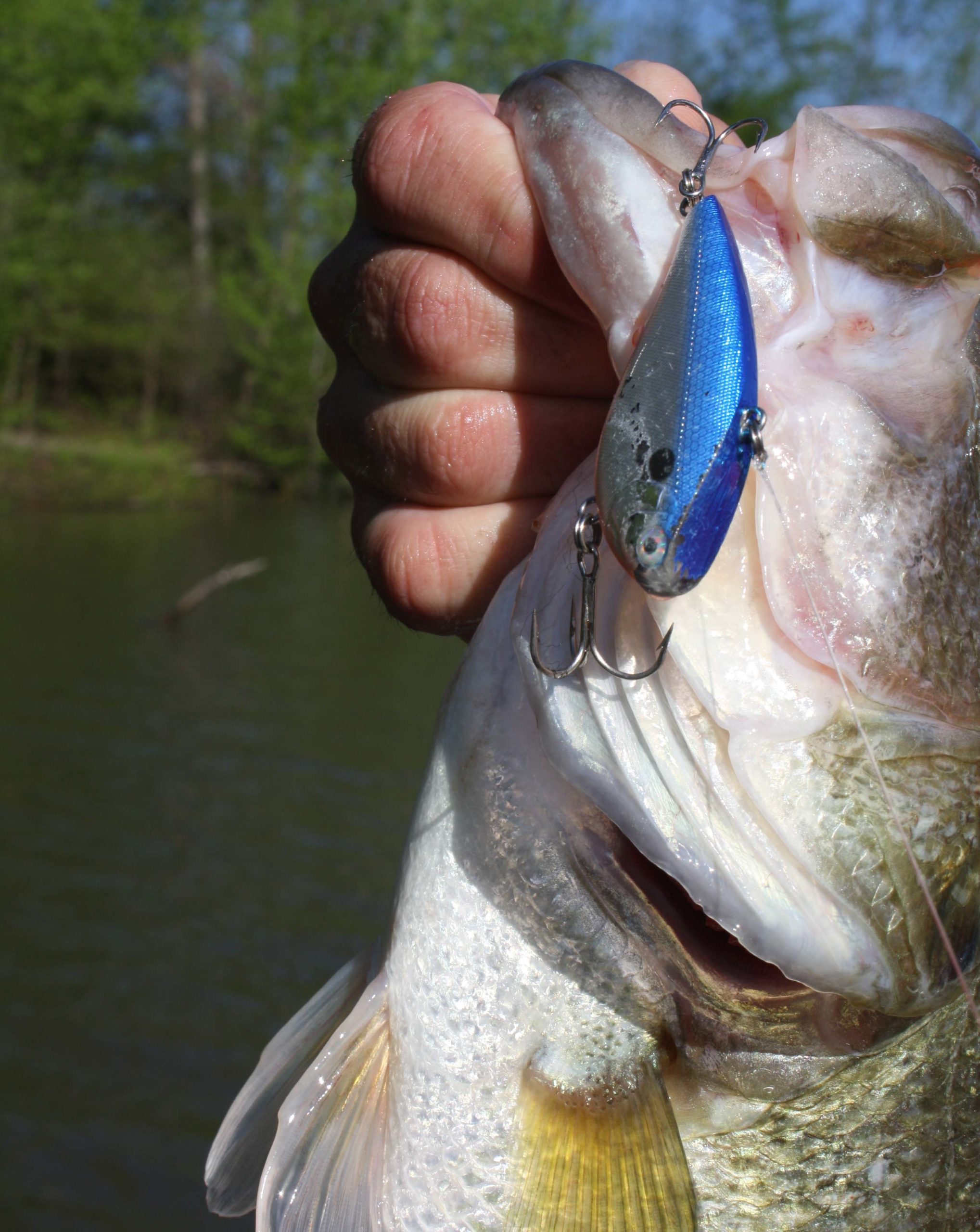 abu garcia cardinal z spinning combo Cardinal® X as well as collegiate Model:BGSW20000 Smash Fall Walleye With portable landing net