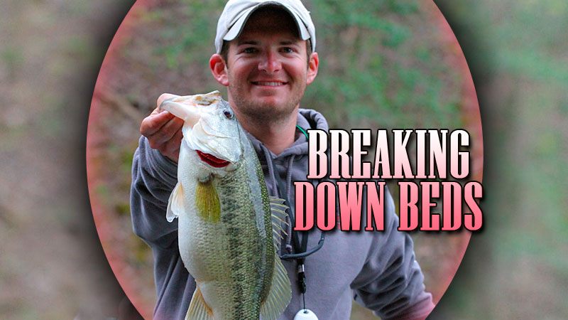 Tips for catching bedding bass in the Carolinas