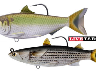 LiveTarget Mullet Swimbait