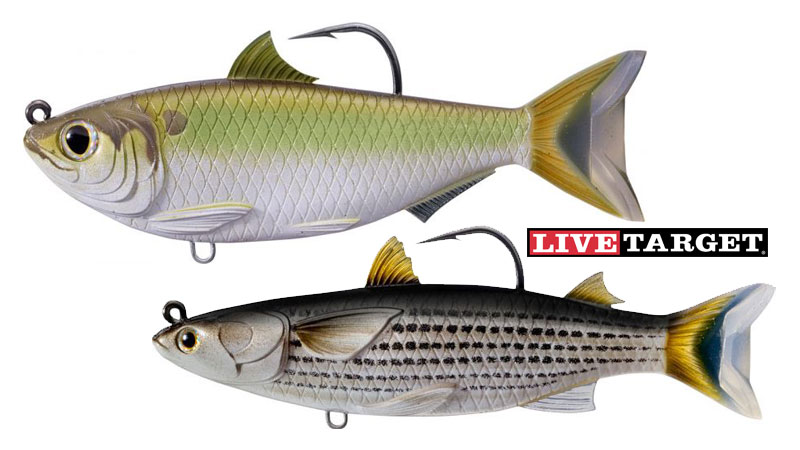 LiveTarget Mullet Swimbait