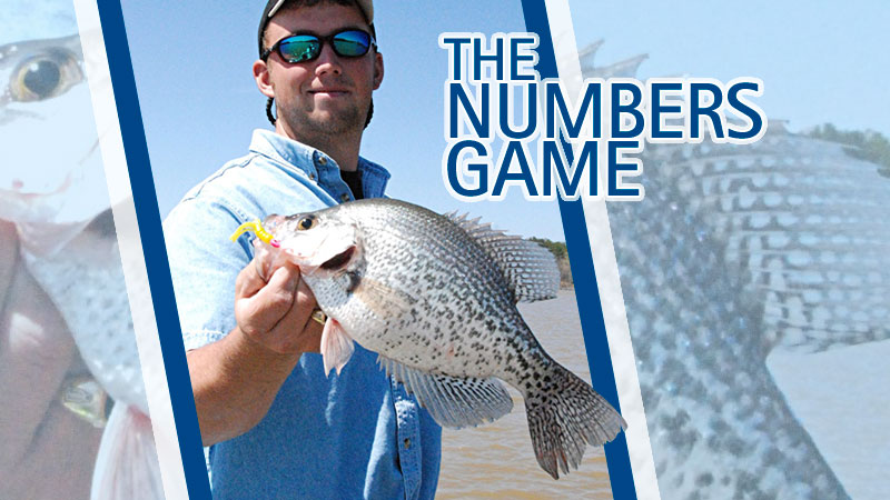 Unlike many tournament anglers, when Matthew Outlaw of St. Matthews goes crappie fishing, he likes to catch a lot of crappie.