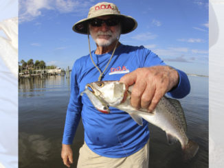 Edisto specks
