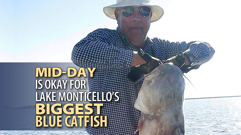 Most people think of the hottest time of year as the dog days of summer, and it may also be the hottest time to snag a big catfish on South Carolina’s Lake Monticello, according to guide Chris Simpson of Greenwood.