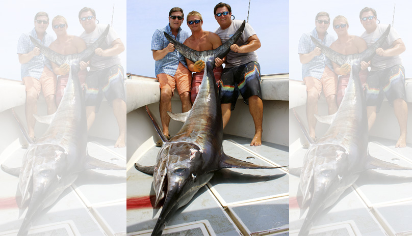 swordfish
