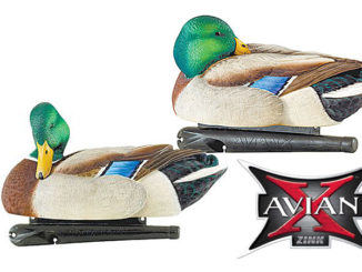 Avian-X Topflight Preener