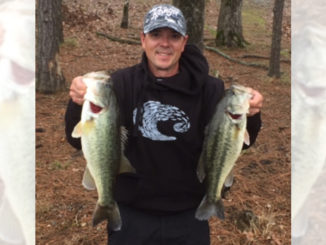 bass