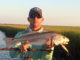 redfish