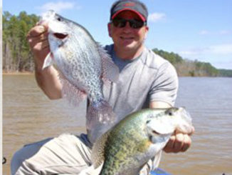 crappie