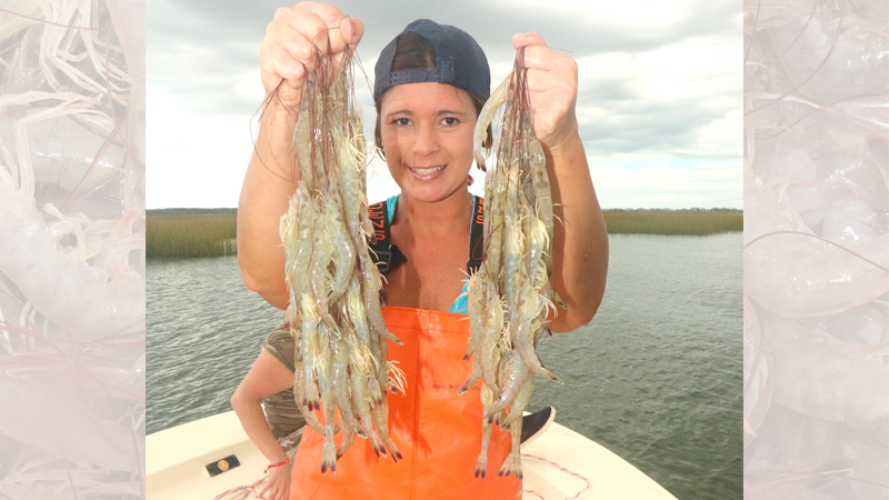 Catch more deep hole shrimp with these three tips