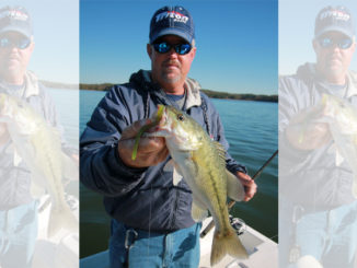 winter spotted bass