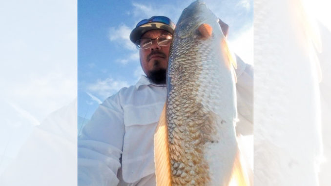Redfish in surf are top target for NC saltwater anglers in February -  Carolina Sportsman