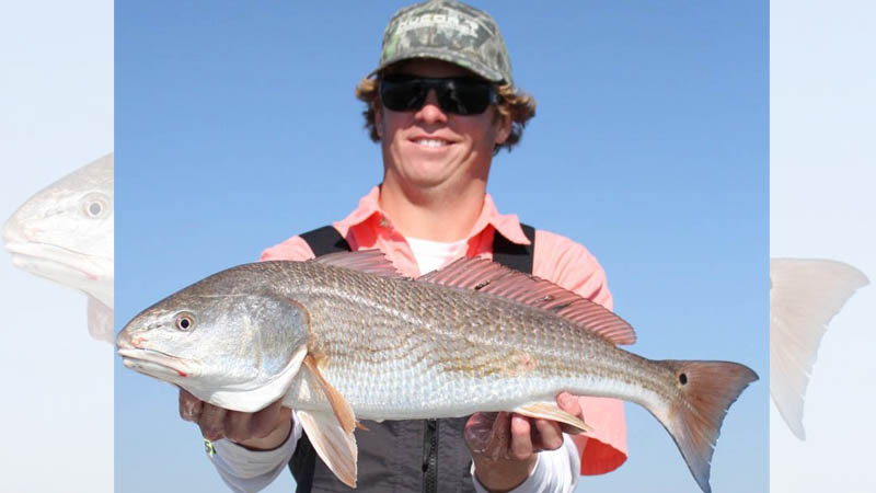 winter redfish