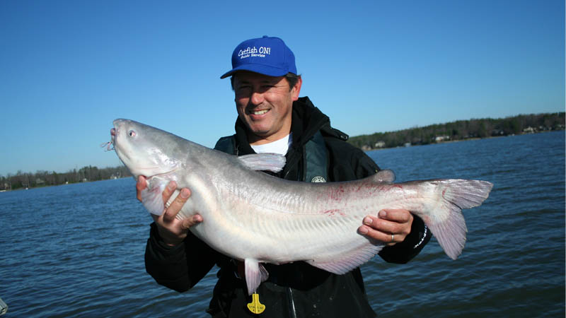winter catfish