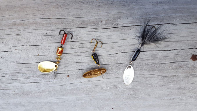 Not fly fishing, not live bait: spinning is a happy medium