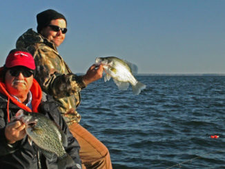 cold weather crappie