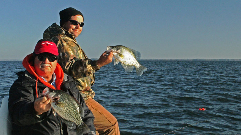 cold weather crappie