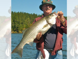 Rhodhiss stripers