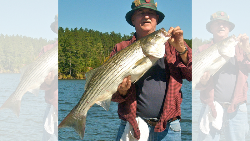 Rhodhiss stripers